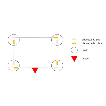 Kit Bio électricité