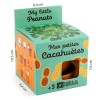 Kit Graines de cacahuètes : Kit pour faire pousser des cacahuètes !