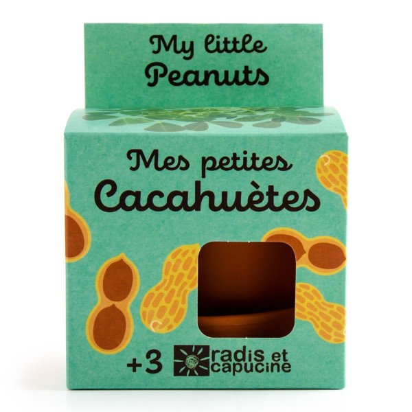 Kit Graines de cacahuètes : Kit pour faire pousser des cacahuètes !